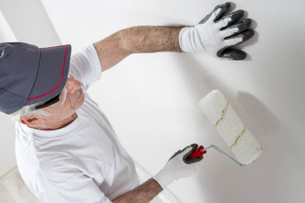 Best Post-Construction Mold Inspection  in Mcrae Helena, GA