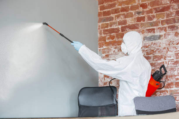 Best Mold Remediation for Healthcare Facilities  in Mcrae Helena, GA