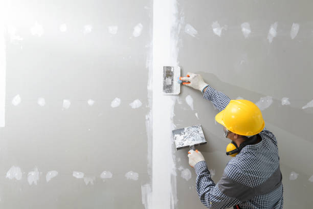 Reliable Mcrae Helena, GA Mold Removal Solutions