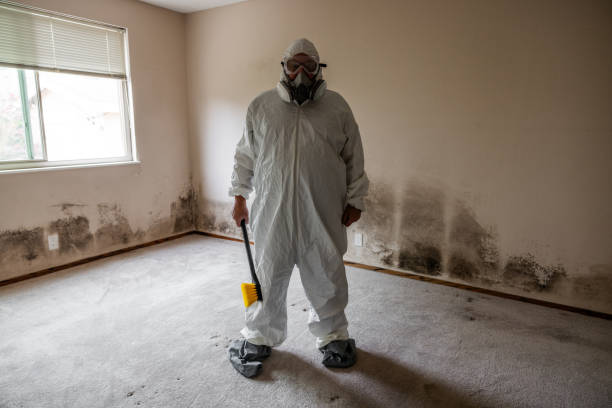 Best Real Estate Mold Inspection  in Mcrae Helena, GA